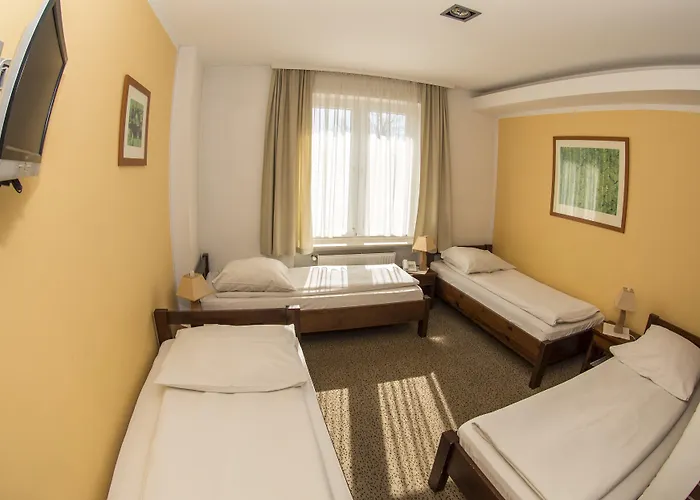 Olecki Hotel 3*